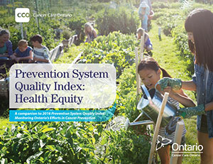 Prevention System Quality Index cover