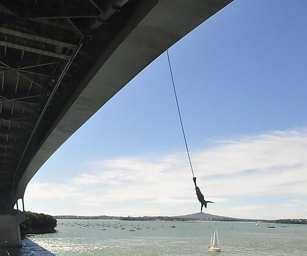Claudia Zanchetta bungee jumps in New Zealand